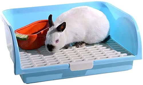 HirrWill Big Rabbit Katzentoilette Eckbettkasten My Neighbor Totoro Toilettentrainer Quadratische Toilette Haustier Tablett, geeignet für erwachsene Meerschweinchen und andere Tiere (blau) von HirrWill