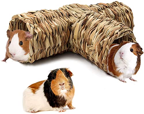HirrWill Hamster Gras Tunnel Spielzeug Meerschweinchen Tunnel und Röhrenspielzeug, geeignet für Mäuse, Syrische Hamster, Frettchen, Meerschweinchen, Chinchillas, Igel und Kaninchen von HirrWill