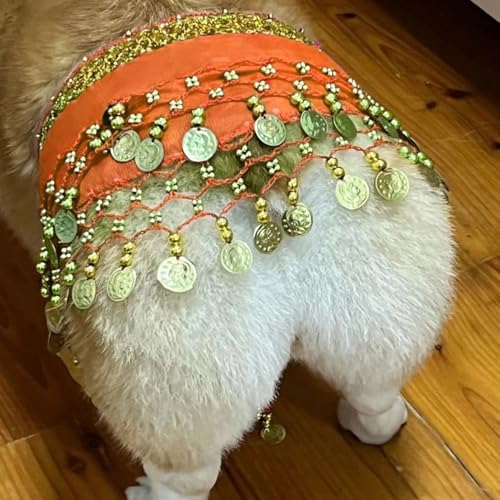 Hund Bauchtanz Kostüm mit Pailletten, Lustige Hüftschal-Dekoration für Hunde, Hundekostüm mit Bauchtanz-Stil, Hund Taillenkette Gesäß Vorhang Kleidung für Corgis (Dunkelorange) von Hislaves