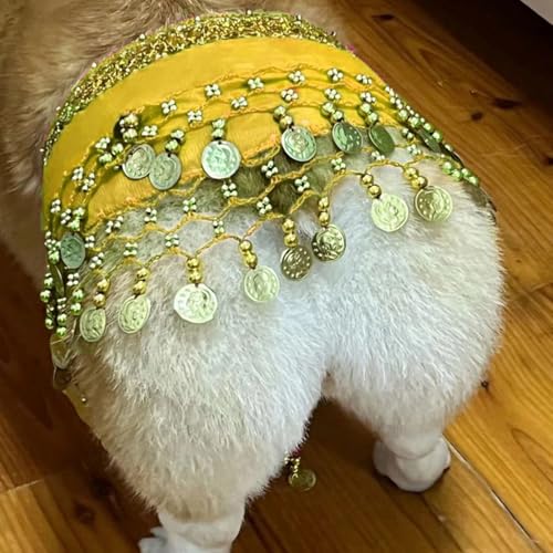 Hund Bauchtanz Kostüm mit Pailletten, Lustige Hüftschal-Dekoration für Hunde, Hundekostüm mit Bauchtanz-Stil, Hund Taillenkette Gesäß Vorhang Kleidung für Corgis (Gelb) von Hislaves