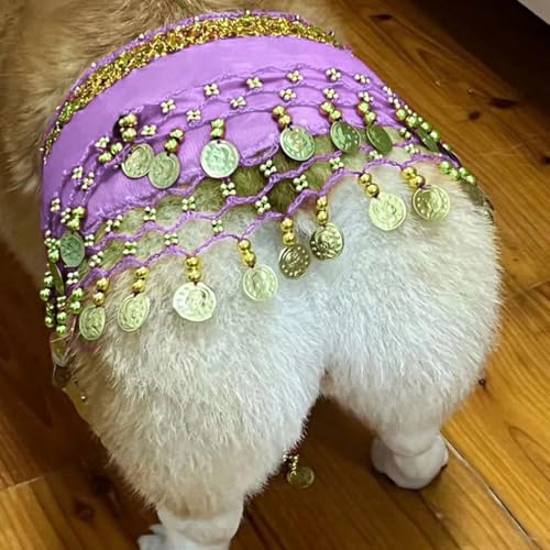 Hund Bauchtanz Kostüm mit Pailletten, Lustige Hüftschal-Dekoration für Hunde, Hundekostüm mit Bauchtanz-Stil, Hund Taillenkette Gesäß Vorhang Kleidung für Corgis (Hellviolett) von Hislaves