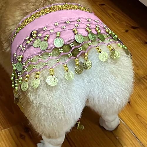 Hund Bauchtanz Kostüm mit Pailletten, Lustige Hüftschal-Dekoration für Hunde, Hundekostüm mit Bauchtanz-Stil, Hund Taillenkette Gesäß Vorhang Kleidung für Corgis (Rosa) von Hislaves