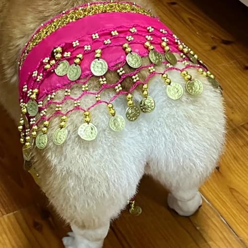 Hund Bauchtanz Kostüm mit Pailletten, Lustige Hüftschal-Dekoration für Hunde, Hundekostüm mit Bauchtanz-Stil, Hund Taillenkette Gesäß Vorhang Kleidung für Corgis (Rosenrot) von Hislaves