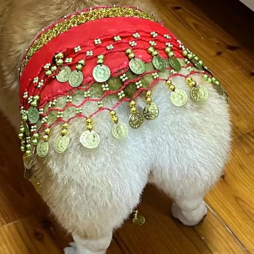 Hund Bauchtanz Kostüm mit Pailletten, Lustige Hüftschal-Dekoration für Hunde, Hundekostüm mit Bauchtanz-Stil, Hund Taillenkette Gesäß Vorhang Kleidung für Corgis (Rot) von Hislaves