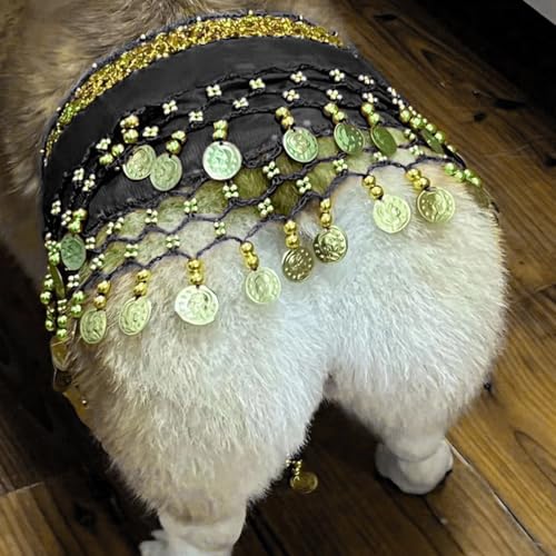 Hund Bauchtanz Kostüm mit Pailletten, Lustige Hüftschal-Dekoration für Hunde, Hundekostüm mit Bauchtanz-Stil, Hund Taillenkette Gesäß Vorhang Kleidung für Corgis (Schwarz) von Hislaves