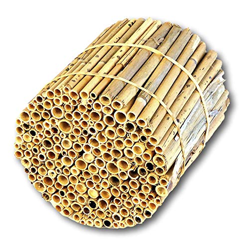 BeeCasa by Hiss Reet® Schilfrohrhalme MEDIUM | Naturbelassener Bund | Insektenhotel & Bienenhotel Füllmaterial | Niströhren & Nisthülsen für Wildbienen von Hiss Reet