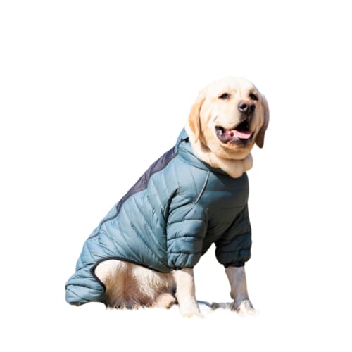 Hixingo Wärme Hundemantel für Kleine Hunde, S-4XL Welpen Mantel Winter Winddicht Hundejacke Kaltes Winterweste Hundekleidung für Kleine Mittlere Große Hunde (3XL,Grün) von Hixingo