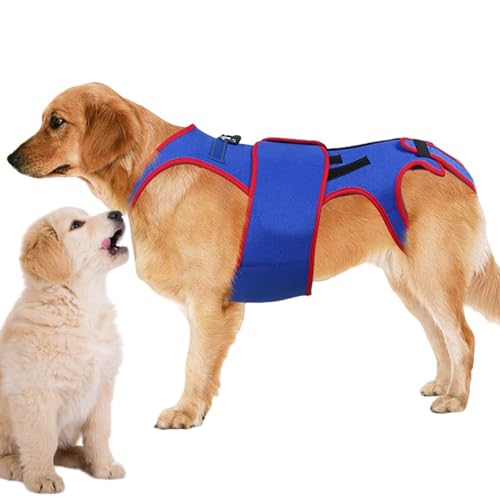 Dog Back Brace Support, Dogs Back Brace Helps Small Dogs, D Ring Reflective Strips Dogs Back, Dog Back Brace Support Rehab, Pet Support Harness D Ring Reflective Strip, Easy to Use, Portable for Dogs von Hjatirace