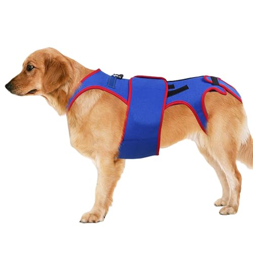 Dog Back Brace Support, Dogs Back Brace Helps Small Dogs, D Ring Reflective Strips Dogs Back, Dog Back Brace Support Rehab, Pet Support Harness D Ring Reflective Strip, Easy to Use, Portable for Dogs von Hjatirace