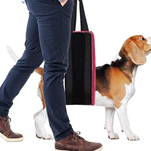 Dog Lifting Harness, Dog Back Legs Hip Support Sling, Dog Lift Support Harness, Mobility Aids Support Sling, Dog Back Legs Lifting Harness, Easy to Use, Portable for Medium Small Large Dogs von Hjatirace