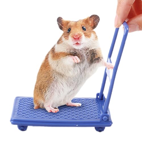 Fun Hamster Cage Accessories, Hamster Cart Toy, Small Animal Toys Hamster Toys, Photo Props Hamster Enrichment Toys, Small Cart Chinchilla Bed Pet Toys, Easy to Use, Portable for Play Rest von Hjatirace