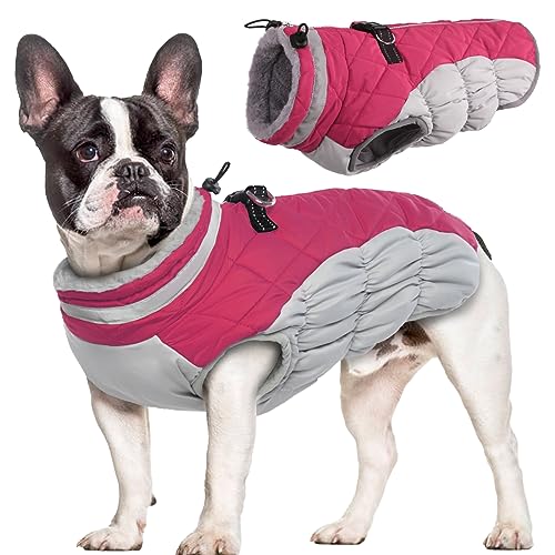 Hjumarayan Hundemantel für Kleine Mittelgroße Grosse Hunde, Hundejacke Warme Hundeweste Wintermantel Hund Wasserdicht Hunde Mantel Gefüttert, Hundemantel Französische Bulldogge (Rose L) von Hjumarayan