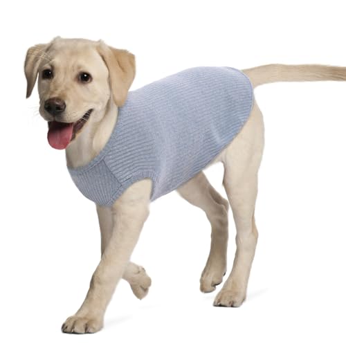 Hjumarayan Hundepullover - Waschbar Hundepullover Grosse Hunde Elastisch Dünn Hunde Pullover Gestreifte Hunde Shirt Elastisch Hundepulli für Mittelgroße Grosse Hunde (Hellblau XXL) von Hjumarayan