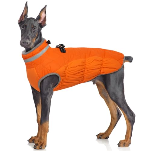 Hjumarayan Hundemantel für Kleine Mittelgroße Grosse Hunde, Hundemantel Winter Warme Wintermantel Hund Hundejacke Wasserdicht Hunde Mantel Gefüttert, Outdoor Hundemantel Labrador (Orange XL) von Hjumarayan