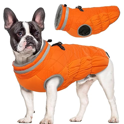 Hjumarayan Hundemantel für Kleine Hunde - Hundemantel Winter Hundemantel mit Geschirr Wintermantel Hund Wasserdicht Hunde Mantel Gefüttert, Hundemantel Französische Bulldogge Chihuahua (Orange L) von Hjumarayan