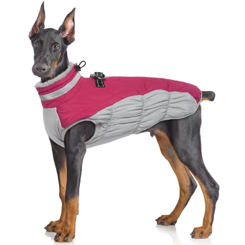 Hjumarayan Hundemantel für Kleine Mittelgroße Grosse Hunde, Hundemantel Winter Warme Wintermantel Hund Hundejacke Wasserdicht Hunde Mantel Gefüttert, Outdoor Hundemantel Labrador (Rose XL) von Hjumarayan