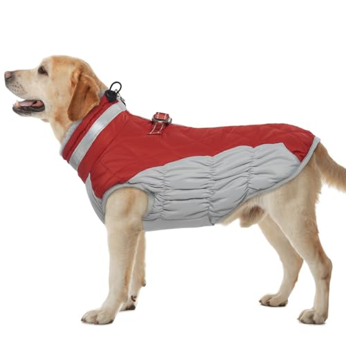 Hjumarayan Hundemantel für Kleine Mittelgroße Grosse Hunde, Hundemantel Winter Warme Wintermantel Hund Hundejacke Wasserdicht Hunde Mantel Gefüttert, Outdoor Hundemantel Labrador (Rot XL) von Hjumarayan