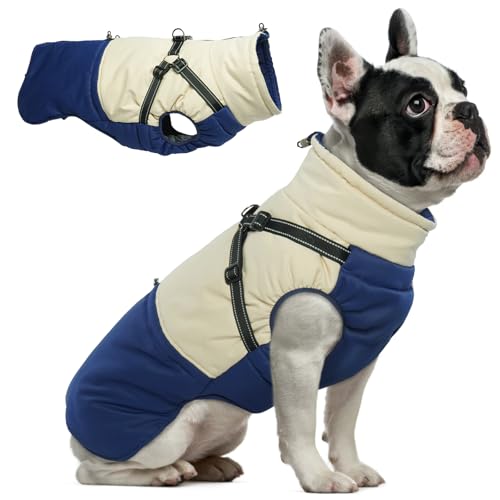 Hjumarayan Hundemantel mit Geschirr, Hundemantel Winter Hundejacke Wasserdicht und Warm Hunde Mantel Gefüttert, Wintermantel Hund mit Geschirr Hundemantel Französische Bulldogge, Marineblau L von Hjumarayan