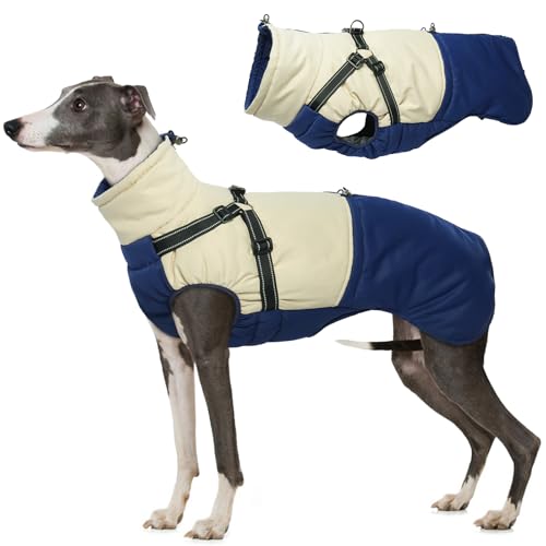 Hjumarayan Hundemantel mit Geschirr, Hundemantel Winter Hundejacke Wasserdicht und Warm Hunde Mantel Gefüttert, Wintermantel Hund mit Geschirr Hundemantel Französische Bulldogge, Marineblau XL von Hjumarayan