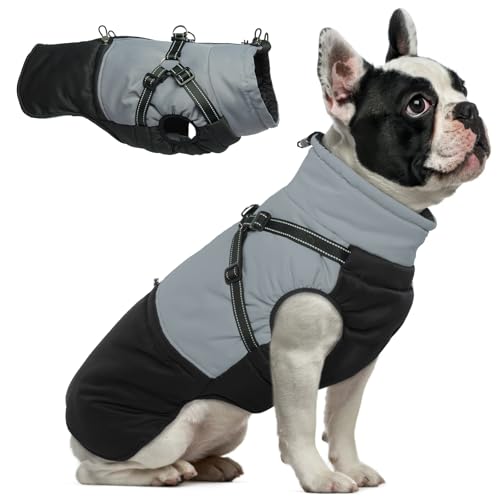 Hjumarayan Hundemantel mit Geschirr, Hundemantel Winter Hundejacke Wasserdicht und Warm Hunde Mantel Gefüttert, Wintermantel Hund mit Geschirr Hundemantel Französische Bulldogge, Schwarz L von Hjumarayan