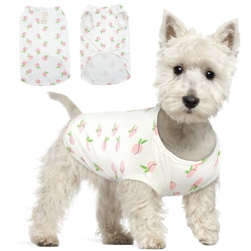 Hjumarayan Hundepullover Kleine Hunde, Hundeshirts für Kleine Hunde Dünner Chihuahua Pullover Weich Atmungsaktives Hunde Shirt für Chihuahua Yorkshire Terrier (Rosa Pfirsich L) von Hjumarayan