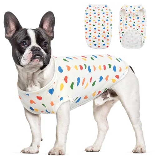 Hjumarayan Hundepullover Kleine Hunde, Hundeshirts für Kleine Hunde Dünner Chihuahua Pullover Weich Atmungsaktives Hunde Shirt für Terrier Französische Bulldogge (Buntes Herz XXL) von Hjumarayan