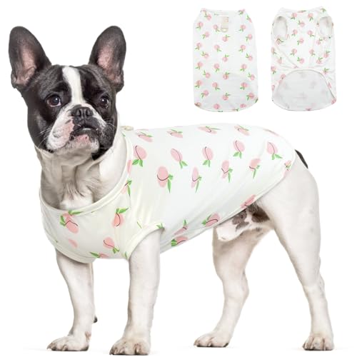 Hjumarayan Hundepullover Kleine Hunde, Hundeshirts für Kleine Hunde Dünner Chihuahua Pullover Weich Atmungsaktives Hunde Shirt für Terrier Französische Bulldogge (Rosa Pfirsich XL) von Hjumarayan