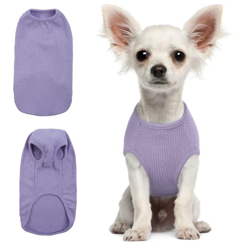 Hjumarayan Hundepullover Kleine Hunde - Dünn Hunde Pullover Waschbar Hundepulli Elastisch Pullover Hund Gestreifte Hunde Shirt Hunde Pullis für Chihuahua Yorkshire Terrier (Lila XS) von Hjumarayan