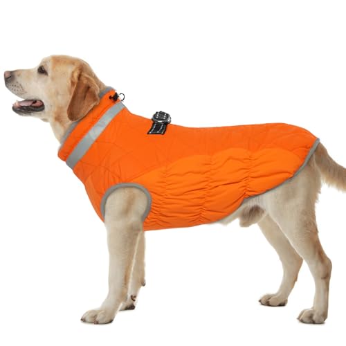 Hjumarayan Hundemantel für Kleine Mittelgroße Grosse Hunde, Hundemantel Winter Warme Wintermantel Hund Hundejacke Wasserdicht Hunde Mantel Gefüttert, Outdoor Hundemantel Labrador (Orange XXXL) von Hjumarayan