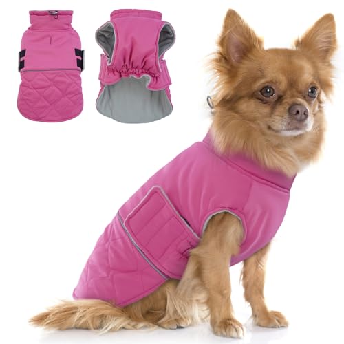 Hjumarayan Wintermantel Hund Klein, Hundemantel für Kleine Hunde Winterjacke Hund Klein Mantel Hund mit Geschirr Offnung, Hundemantel Gefüttert Hund Wintermantel Chihuahua Kleidung, Rose XS von Hjumarayan