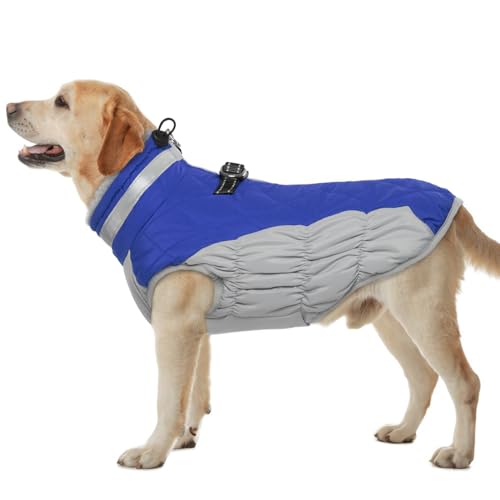 Hjumarayan Hundemantel für Kleine Mittelgroße Grosse Hunde, Hundemantel Winter Warme Wintermantel Hund Hundejacke Wasserdicht Hunde Mantel Gefüttert, Outdoor Hundemantel Labrador (Blau XL) von Hjumarayan