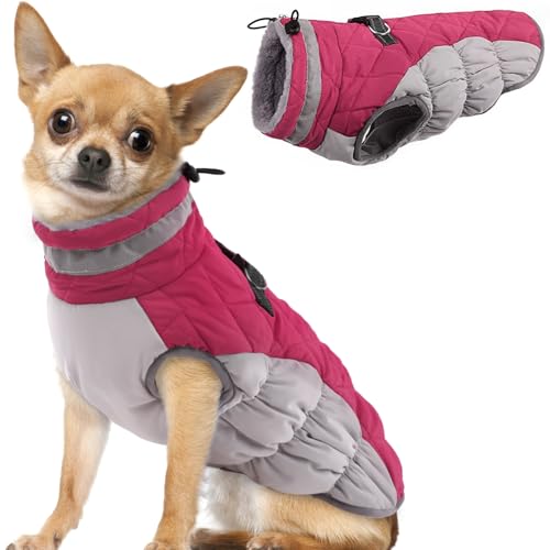 Hjumarayan Hundemantel für Kleine Mittelgroße Grosse Hunde, Hundemantel Winter Warme Hundejacke Wintermantel Hund Wasserdicht Hunde Mantel Gefüttert, Chihuahua Kleidung Winter (Rose S) von Hjumarayan