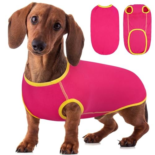 Hjyokuso Dackel Pullover, Pullover Für Dackel, Hundepullover Dackel, Fleece Pullover Hund, Dackel Kleidung, Dackel Pullover Für Hunde, Shirts Für Hunde, Hundepulli Für Kleine Hunde,Dachshund Sweater von Hjyokuso