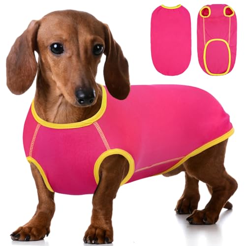 Hjyokuso Dackel Pullover, Pullover Für Dackel, Hundepullover Dackel, Fleece Pullover Hund, Dackel Kleidung, Dackel Pullover Für Hunde, Shirts Für Hunde, Hundepulli Für Kleine Hunde,Dachshund Sweater von Hjyokuso