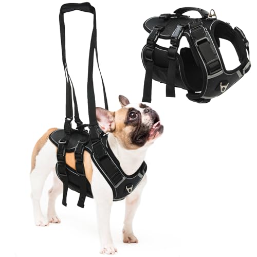 Hjyokuso Dog Lift Harness, Dog Carrier Sling Ganzkörperunterstützung & Erholungsschlinge, Haustier Brust Hinten Unterstützung Hilfe Tierärztlich Zugelassen Sling für Alte, Behinderte, von Hjyokuso