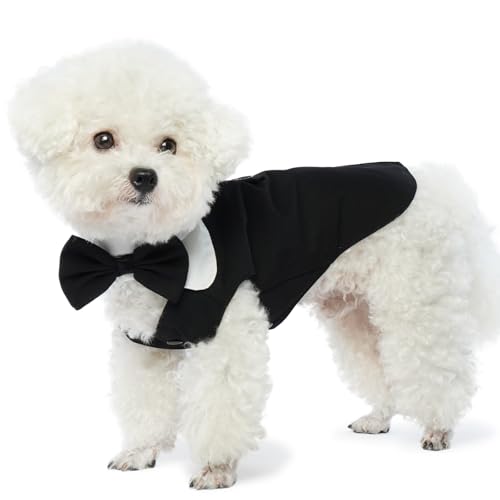 Hjyokuso Hundekostüm, Hundekostüm Halloween, Hundekostüm Für Hochzeit, Weihnachtskostüm Für Kleine Hunde Katzen, Hund Hochzeit Outfit Mit Fliege, Hundekleidung Für Hochzeit Geburtstage Rüde-Schwarz S von Hjyokuso