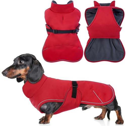 Hjyokuso Hundemantel Dackel, Winddichter Wasserdichter Wintermantel Für Dackel Hunde, Hundejacke Für Kleine Hunde XS, Hundemantel Winter Mit Bauchschutz Und Leinenloch, Winterjacken Für Hunde - Rot von Hjyokuso