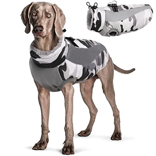 Hjyokuso Hundemantel Wasserdicht, Hunde Wintermantel, Hundejacke für Kleine Mittel Große Hunde, Winddichte Hundekleidung Winterjacke mit Reflektierender Streifen und Reißverschluss - Grau L von Hjyokuso