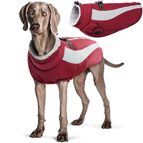 Hjyokuso Hundemantel Wasserdicht, Hunde Wintermantel, Hundejacke für Kleine Mittel Große Hunde, Winddichte Hundekleidung Winterjacke mit Reflektierender Streifen und Reißverschluss - Weinrot L von Hjyokuso