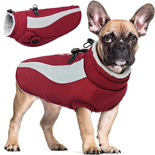 Hjyokuso Hundemantel Wasserdicht, Hunde Wintermantel, Hundejacke für Kleine Mittel Große Hunde, Winddichte Hundekleidung Winterjacke mit Reflektierender Streifen und Reißverschluss - Weinrot S von Hjyokuso