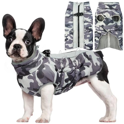 Hjyokuso Hundemantel Wasserdicht, Hundejacke Winter, Hundemantel Mit Geschirr Für Kleine Mittelgroße Grosse Hunde, Winddichte Wintermantel Hund Mit Reflektorstreifen Und ReißVerschluss - L von Hjyokuso