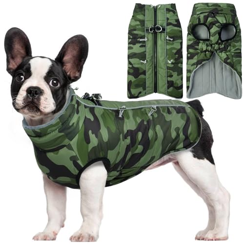 Hjyokuso Hundemantel Wasserdicht, Hundejacke Winter, Hundemantel Mit Geschirr Für Kleine Mittelgroße Grosse Hunde, Winddichte Wintermantel Hund Mit Reflektorstreifen Und ReißVerschluss - L von Hjyokuso