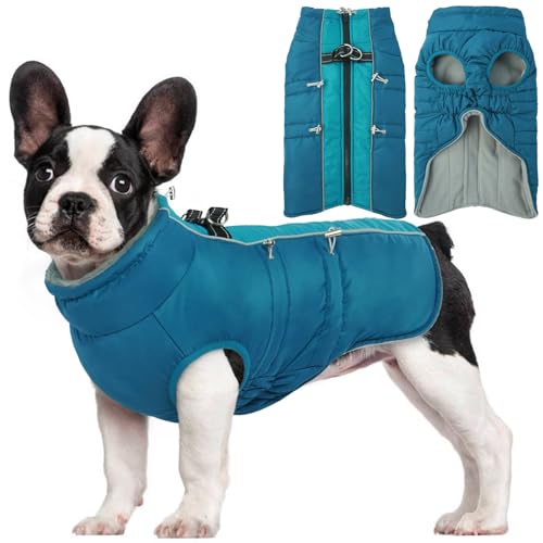 Hjyokuso Hundemantel Wasserdicht, Hundejacke Winter, Hundemantel Mit Geschirr Für Kleine Mittelgroße Grosse Hunde, Winddichte Wintermantel Hund Mit Reflektorstreifen Und ReißVerschluss - M von Hjyokuso