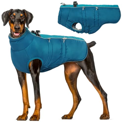 Hjyokuso Hundemantel Wasserdicht, Hundejacke Winter, Hundemantel Mit Geschirr Für Kleine Mittelgroße Grosse Hunde, Winddichte Wintermantel Hund Mit Reflektorstreifen Und ReißVerschluss - XXL von Hjyokuso