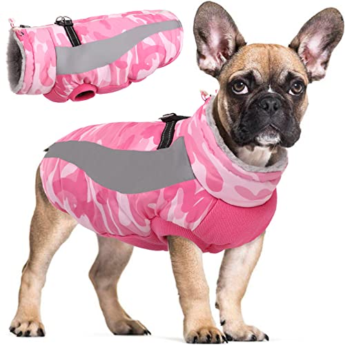 Hjyokuso Hundemantel Wasserdicht, Wintermantel Hund, Hundejacke für Kleine Mittel Große Hunde, Winddichte Hundekleidung Winterjacke mit Reflektierender Streifen und Reißverschluss - Rosa M von Hjyokuso