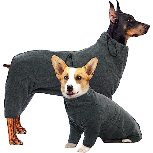 Hjyokuso Hundemantel Winter, Hundejacke, Weicher Fleece Hundepullover FüR Kleine MittelgroßE Grosse Hunde, Winddichte Haustierkleidung Outfit Mit ReißVerschluss, Chihuahua Kleidung (XXS-3Xl) von Hjyokuso