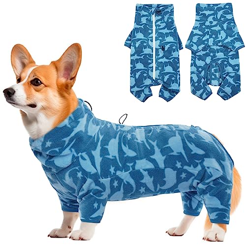 Hjyokuso Hundemantel Winter, Hundejacke, Weicher Fleece Hundepullover FüR Kleine MittelgroßE Grosse Hunde, Winddichte Haustierkleidung Outfit Mit ReißVerschluss, Chihuahua Kleidung (XXS-3Xl) von Hjyokuso