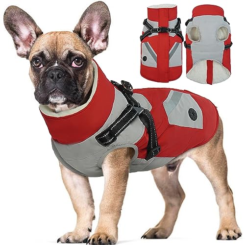 Hjyokuso Wasserdichter Hundemantel, Hundejacke mit Geschirr, Hundejacken für kleine Mittel Große Hunde, Winddichte Haustierkleidung Outfit mit Reflektierender Streifen und Reißverschluss - Rot S von Hjyokuso