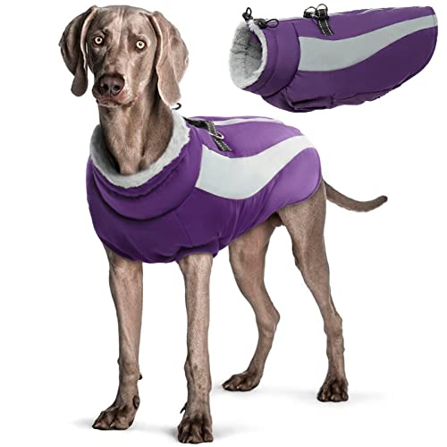 Hjyokuso Hundemantel Wasserdicht, Hunde Wintermantel, Hundejacke für Kleine Mittel Große Hunde, Winddichte Hundekleidung Winterjacke mit Reflektierender Streifen und Reißverschluss - Lila L von Hjyokuso