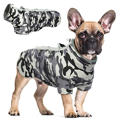 Hjyokuso Wasserdichter Hundemantel Winter Warme Jacke, Hundejacken für kleine Mittel Große Hunde, Hundepullover, Winddichte Wintermantel Hund mit Reflektierender Streifen und Reißverschluss M von Hjyokuso